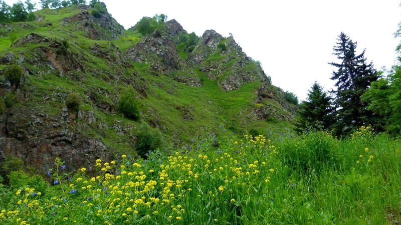 Кабардино-Балкария. Заброшенная турбаза Долины Нарзанов