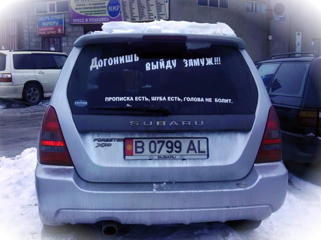 Автовсячина