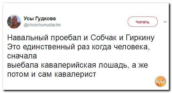 Политические коментарии соцсетей - 176