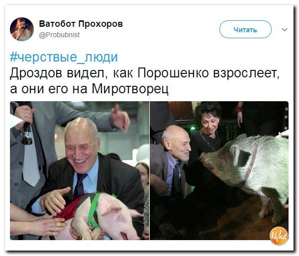 Политические коментарии соцсетей - 176