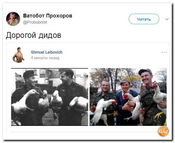 Политические коментарии соцсетей - 176