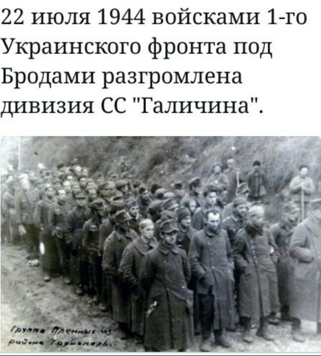 Политические коментарии соцсетей - 176