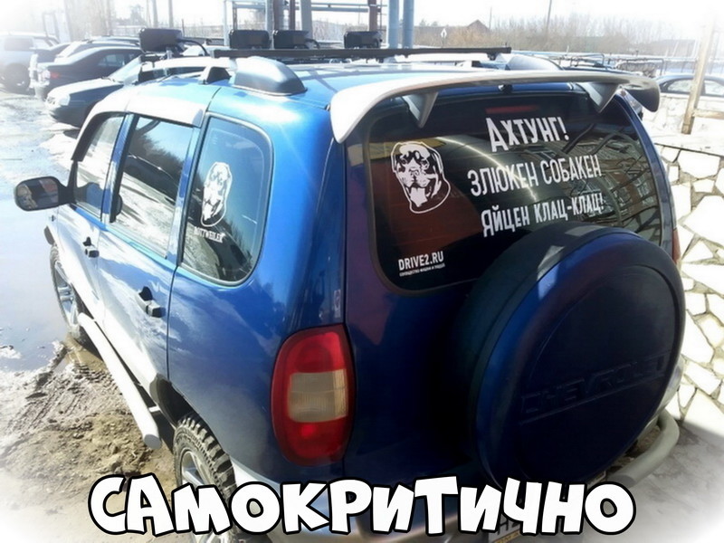 Автовсячина