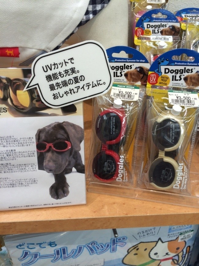 Темные очки для собак.