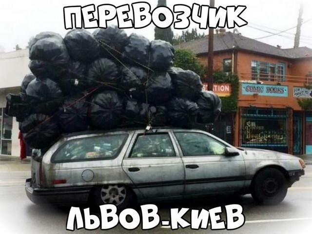 Автовсячина