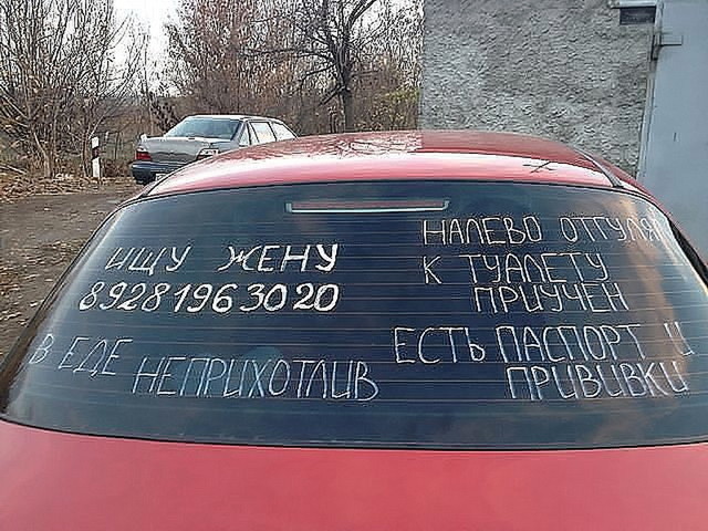 Автовсячина