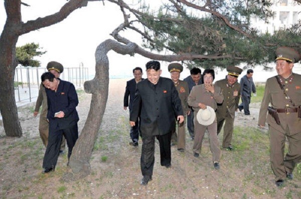 СМИ: Северная Корея продвигает себя как направление для серфинга