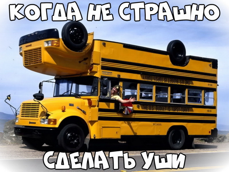 Автовсячина