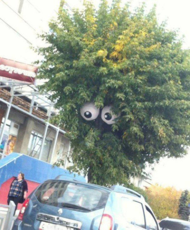 Глазастое дерево 