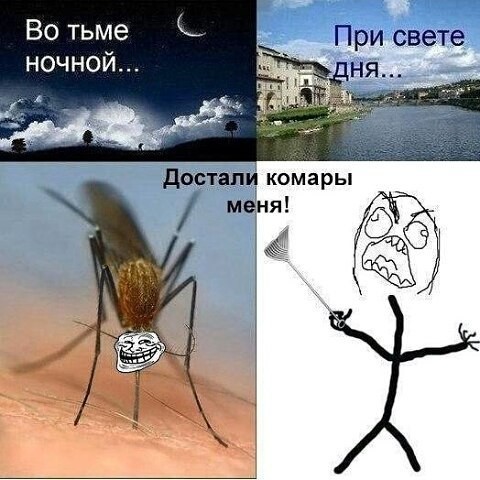 Ну и до кучи комары, сволочи, достали 