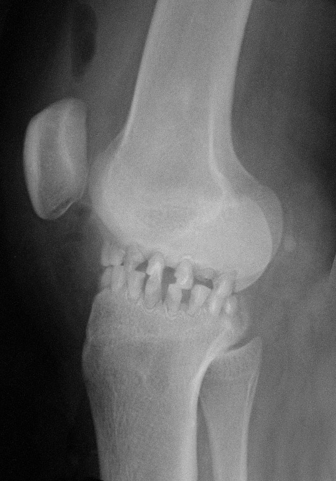 Забавные медицинские аномалии от мексиканских любителей фотошопа