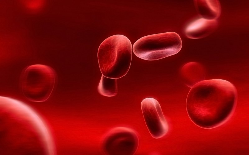 Группа крови может рассказать о тебе больше, чем ты думаешь