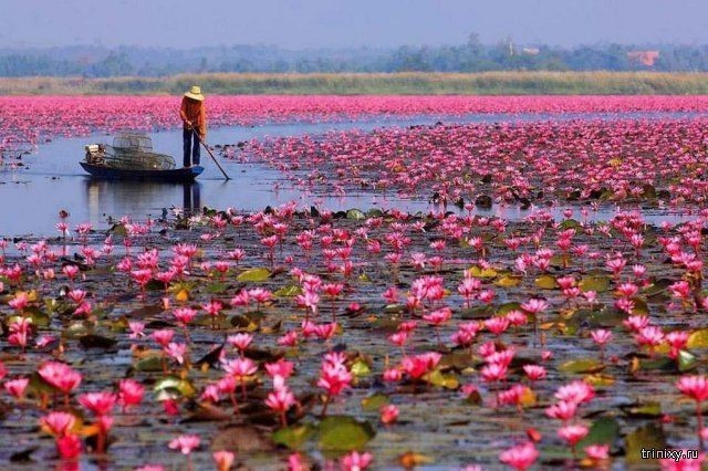 Красота нашей планеты