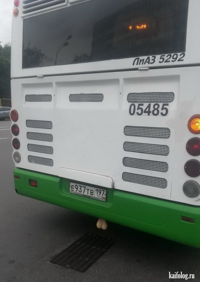 Автобус с яйцами