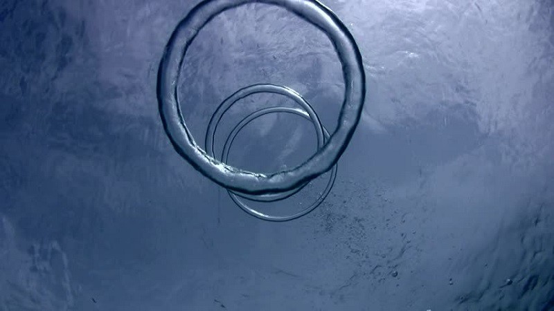 Удивительные вихревые кольца в океане