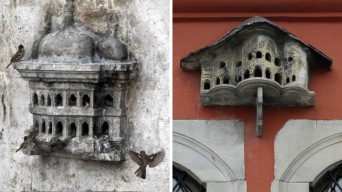 В разные годы птичьи дома несколько раз меняли название: птичий дворец, голубятня, воробьиный дворец. 