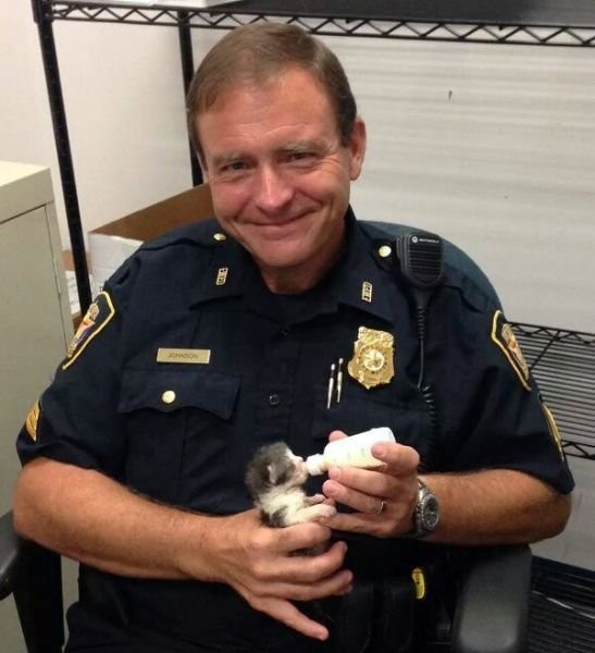 И снова котёнок, спасённый полицейским 