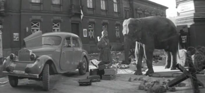Трогательный забытый фильм "Солдат и слон"
