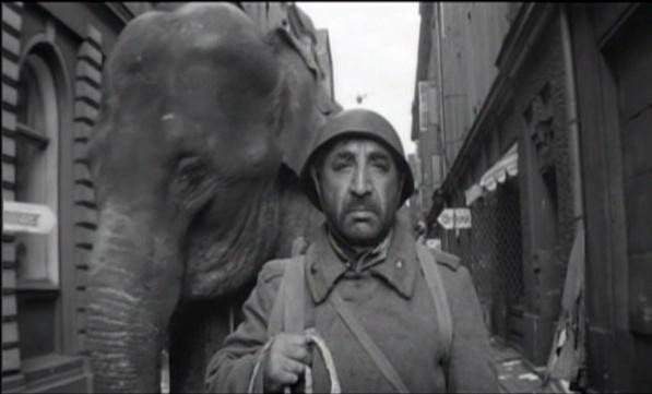 Трогательный забытый фильм "Солдат и слон"