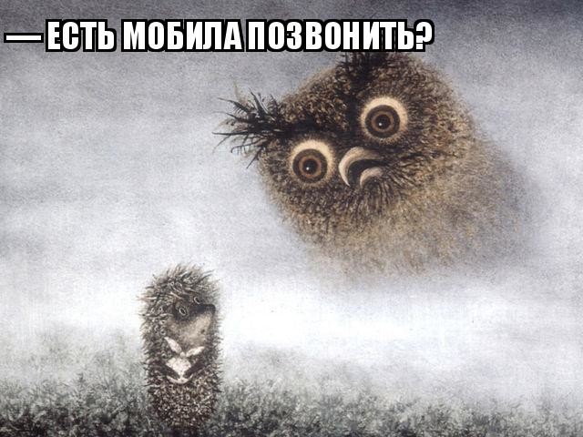 Солянка