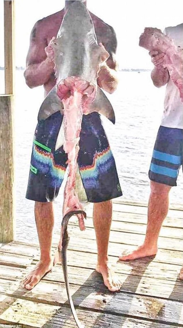 Адские рыболовы опубликовали новые фотодоказательства жестокого обращения с морскими обитателями