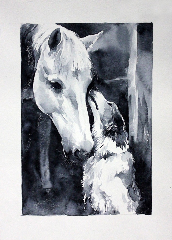 Лошади в акварельных рисунках елены швец