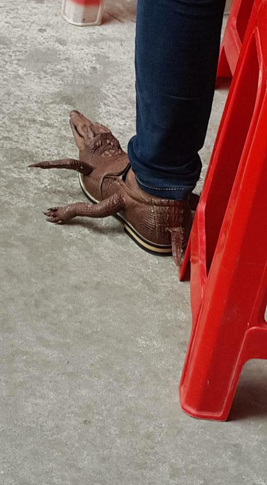 Туфли из крокодила 