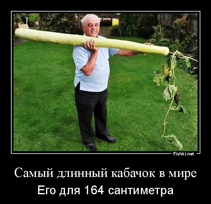 Самый длинный кабачок в мире