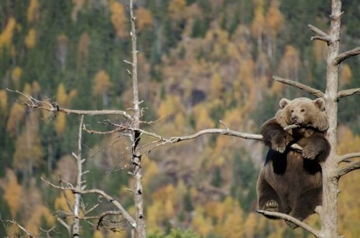 Эмоции и настроение в фотографиях