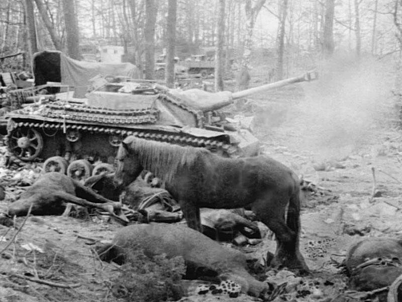 После боя в районе Кенигсберга. Разбитая немецкая техника, убитые лошади. Время съемки: 1945 