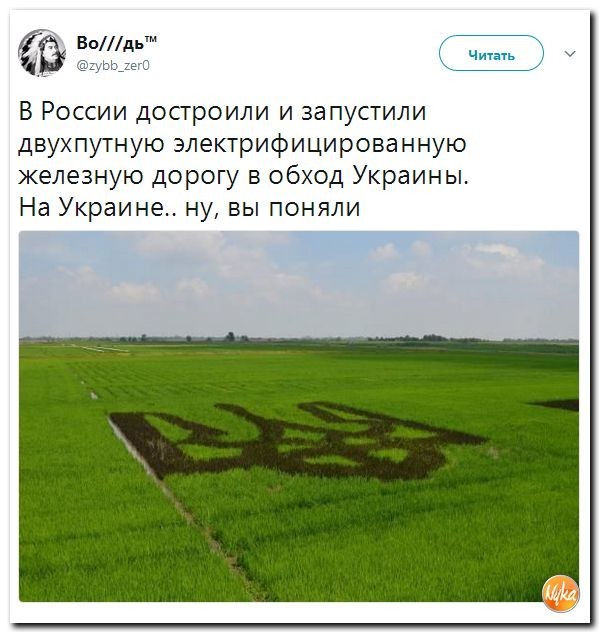 Политические коментарии соцсетей - 190