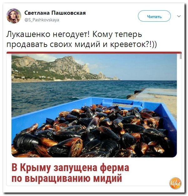 Политические коментарии соцсетей - 190