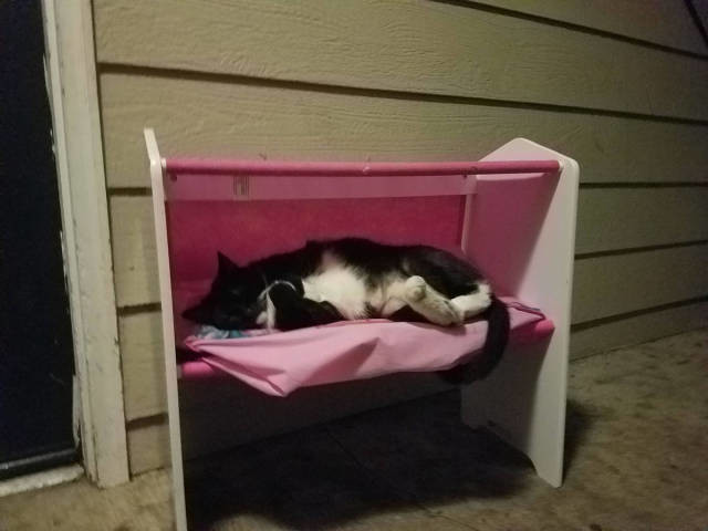 Кроватка для кота 
