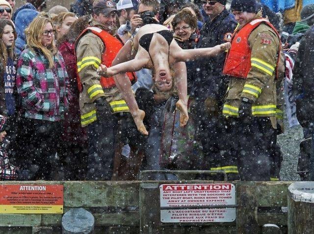 Подборка прикольных картинок