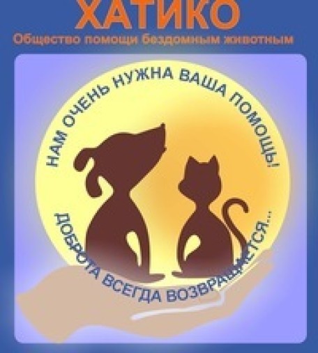 30 тысяч на лечение бездомных животных‍ пожертвовала жительница Красноярска