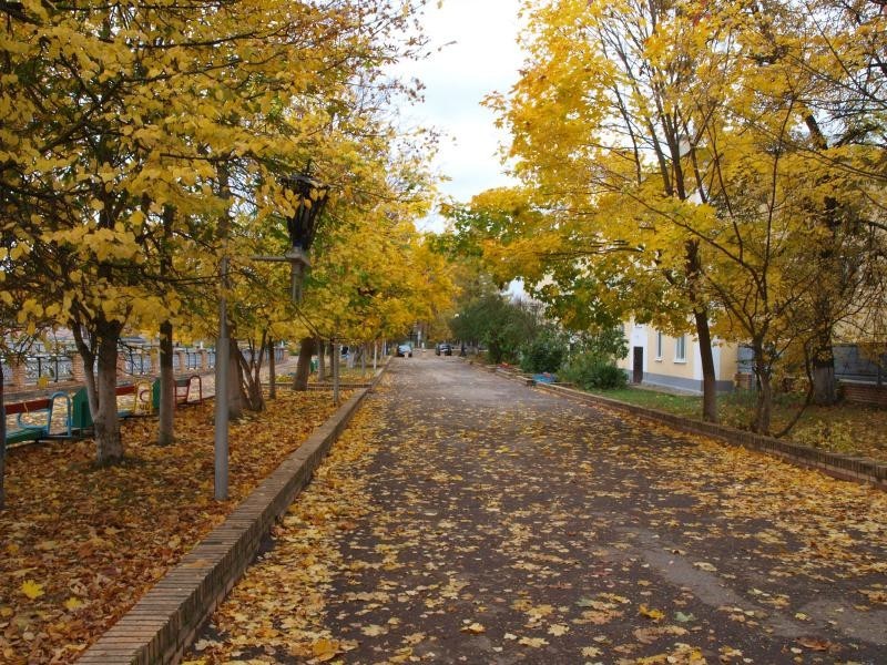 Города России. Пост номер 27 . Город - Людиново (Калужской области). Фоторепортаж