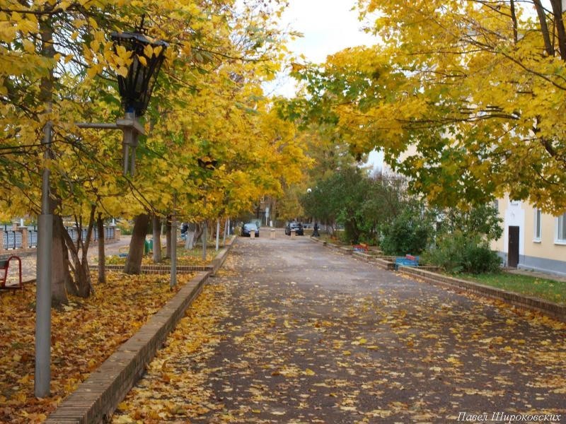 Города России. Пост номер 27 . Город - Людиново (Калужской области). Фоторепортаж