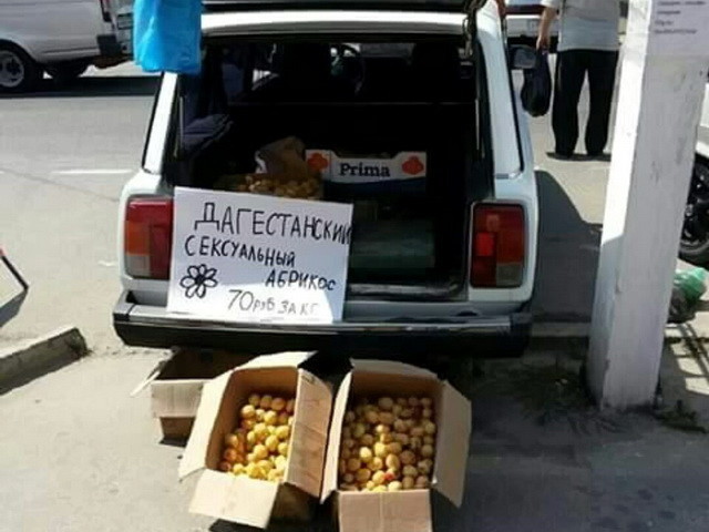 Автовсячина