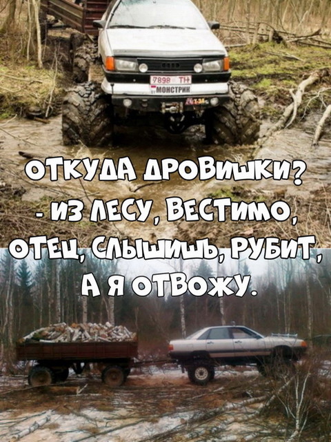 Автовсячина