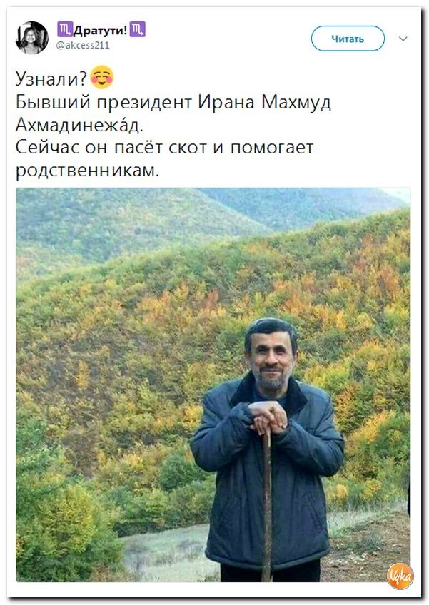 Политические коментарии соцсетей - 197