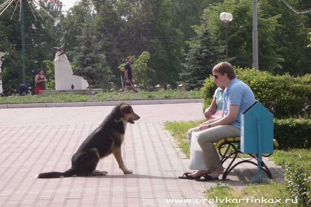 Города России. Пост номер 36. Город - Орёл. Фоторепортаж