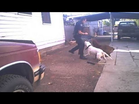 Полицейского пытались затравить собаками. Хорошая реакция спасла ему жизнь 