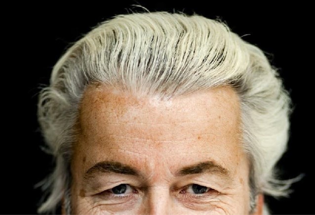 Герт Вилдерс — нидерландский политик,  депутат парламента не раз попадал под насмешки со соей недоосветленной шевелюрой