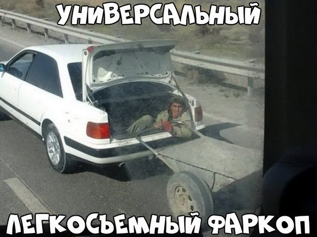 Автовсячина