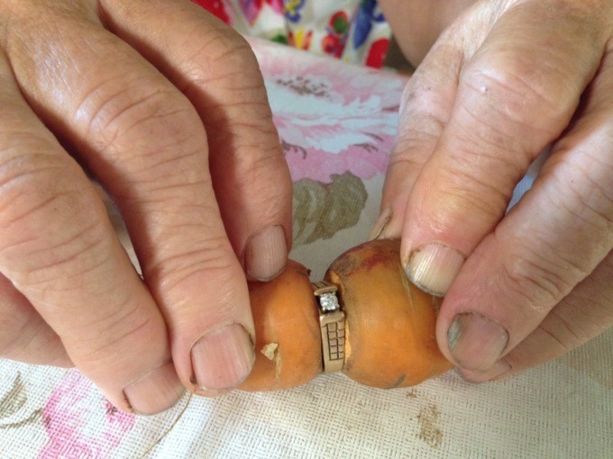 Удивительная история: канадка нашла пропавшее 13 лет назад кольцо в моркови