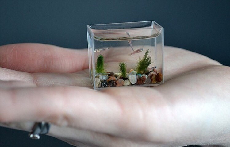 Удивительный мир миниатюр: как бы выглядели привычные нам вещи в мини-формате