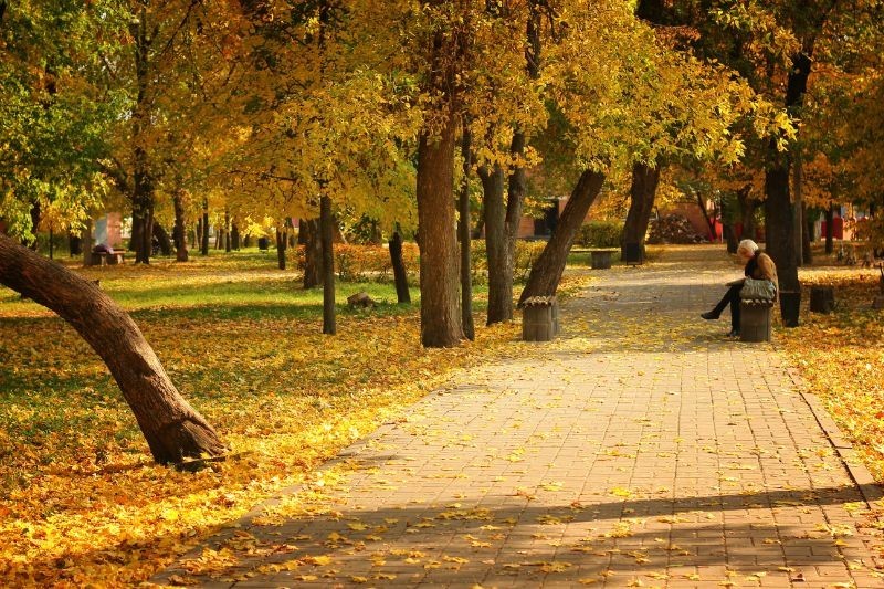 Города России. Пост номер 39. Город - Острогожск (Воронежской области). Фоторепортаж