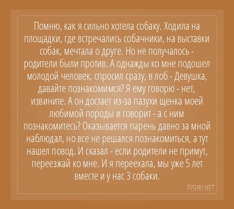 Подарки от поклонников - удивительные, смешные и поразительные