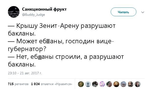 Албин: баклан клювом разрушает цельность светоотражающей плёнки арены «Зенита»