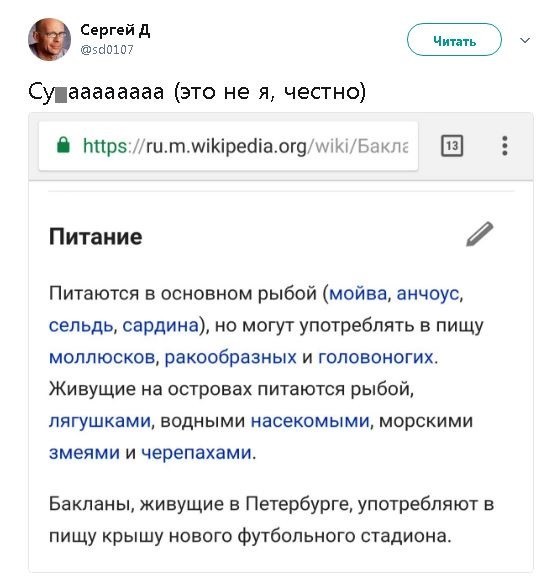 Албин: баклан клювом разрушает цельность светоотражающей плёнки арены «Зенита»